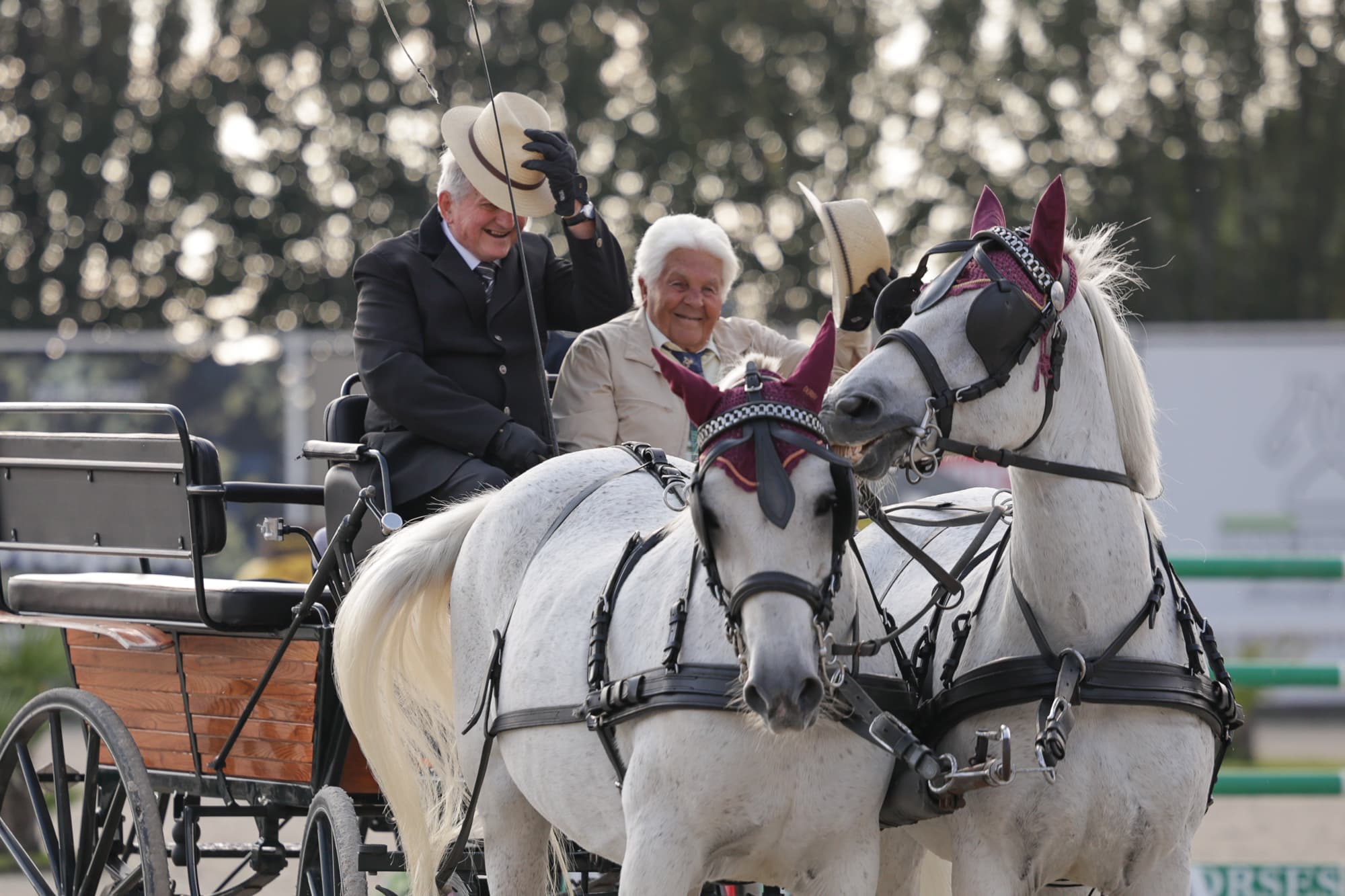 Eine Kutsche mit zwei Pferden im Reitsportzentrum Etrea