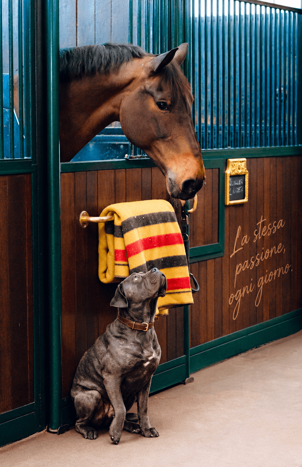 Un cavallo e un cane nelle scuderie di Etrea